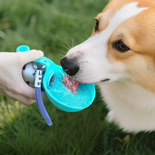PawFlask™ — Spill-Proof Dog Water Bottle | 285 ml Stainless Steel